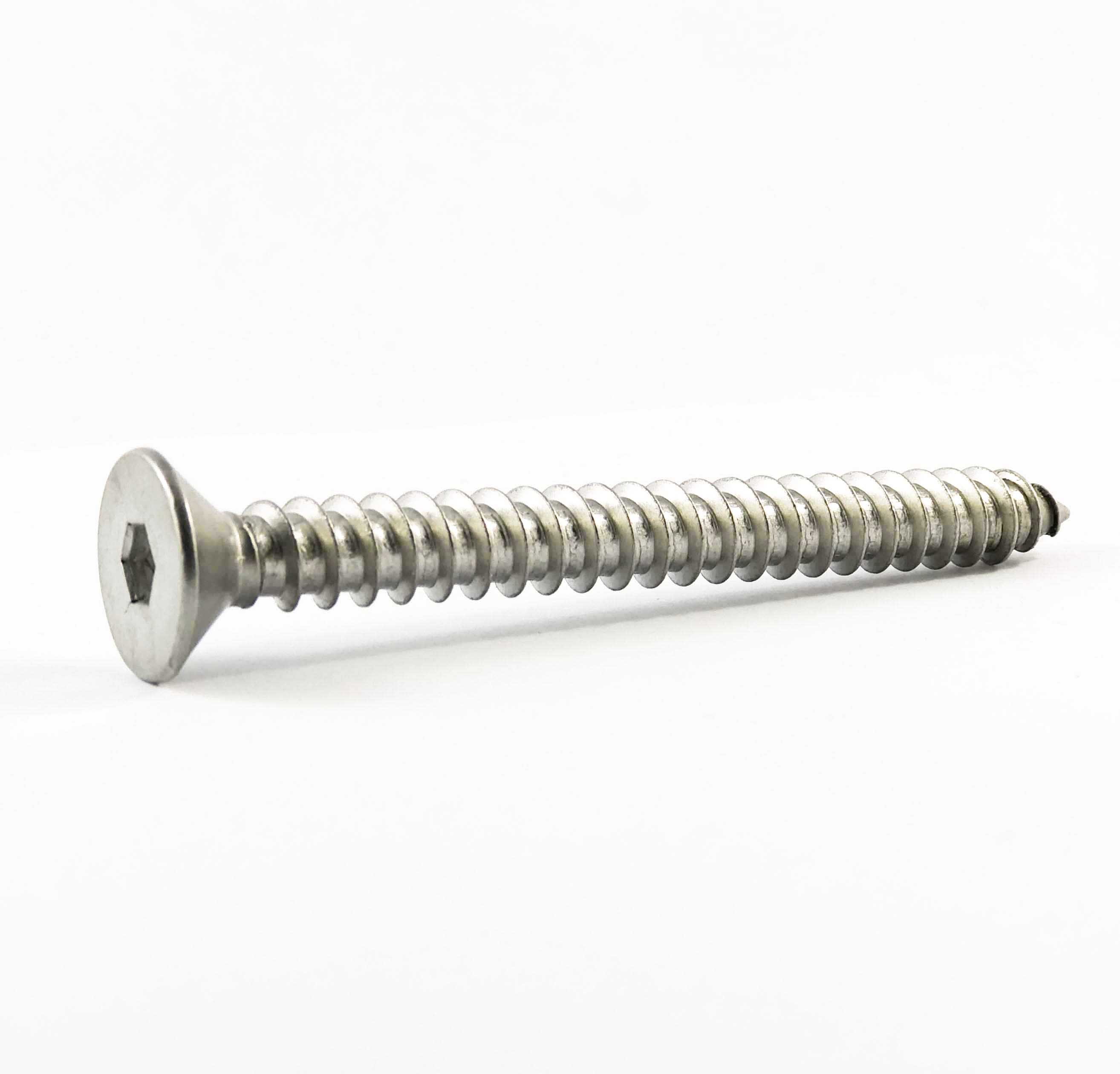 Coach Screw M10x100mm Countersunk Stainless Steel