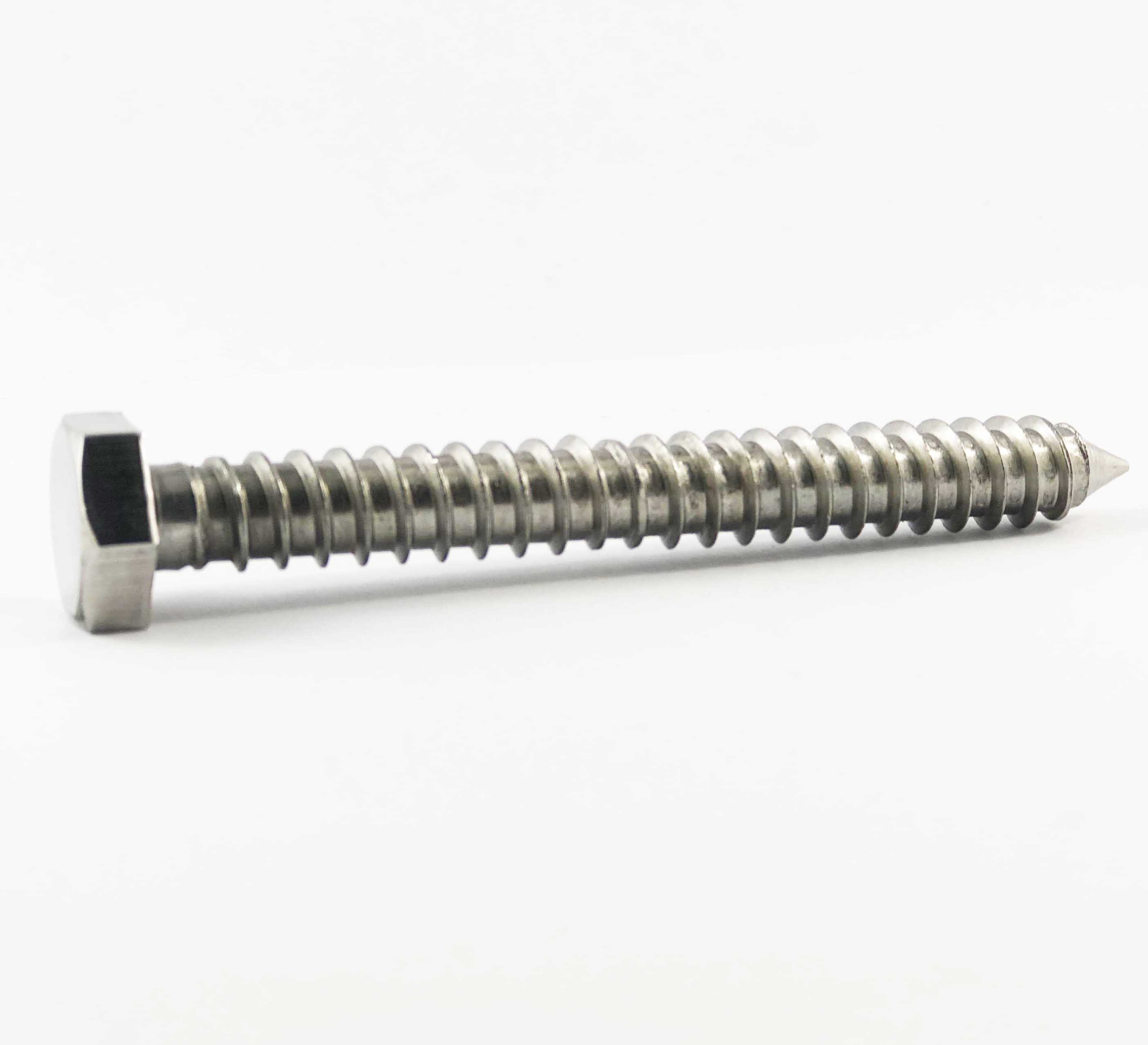 Coach Screw Bolt M10x100mm  Stainless Steel